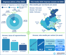 Infografica vita media imprese veronesi